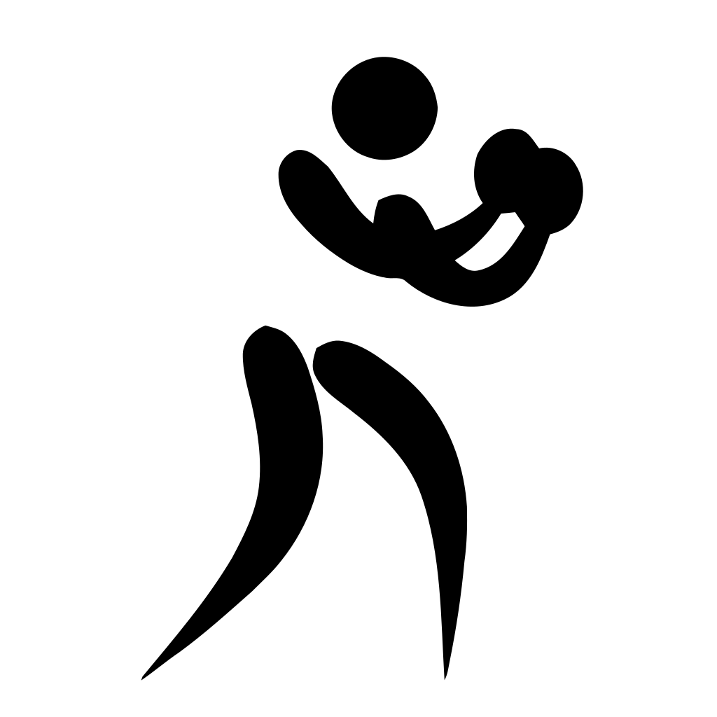 拳擊(13)